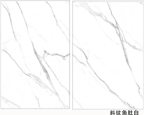 斜紋魚(yú)肚白